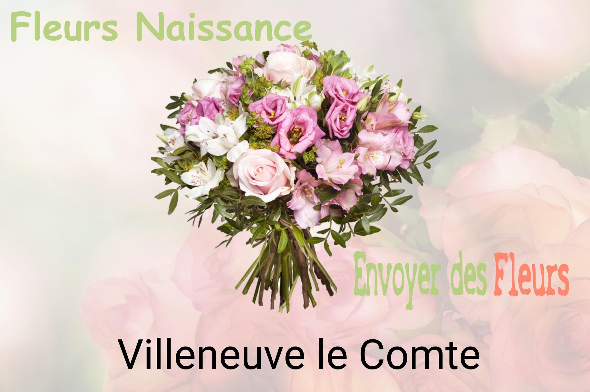 Bouquet de fleurs de naissance livré à Villeneuve-le-Comte