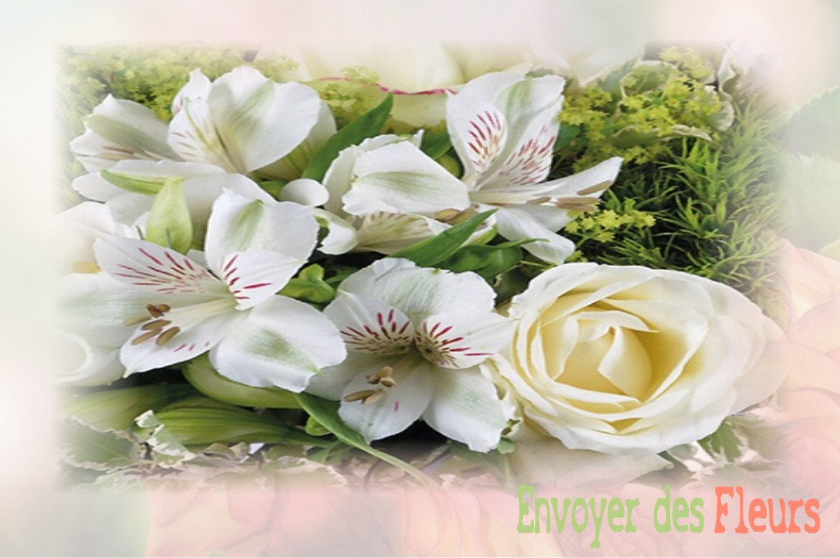 envoyer des fleurs à à VILLENEUVE-LE-COMTE