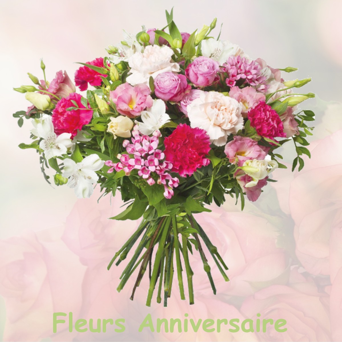 fleurs anniversaire VILLENEUVE-LE-COMTE