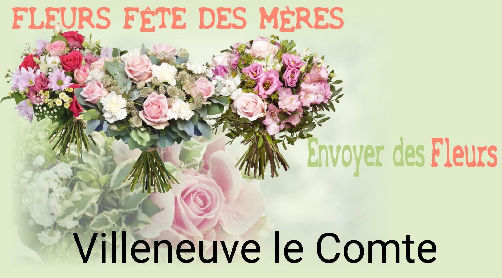 Bouquet de Fête des Mères livré à Villeneuve-le-Comte